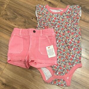 Cat & Jack Pink Floral Ruffle-Sleeve Bodysuit with Pink Shorts